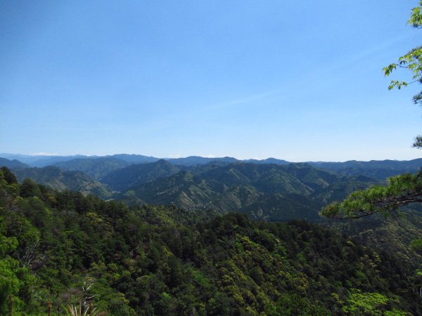 鷹打場